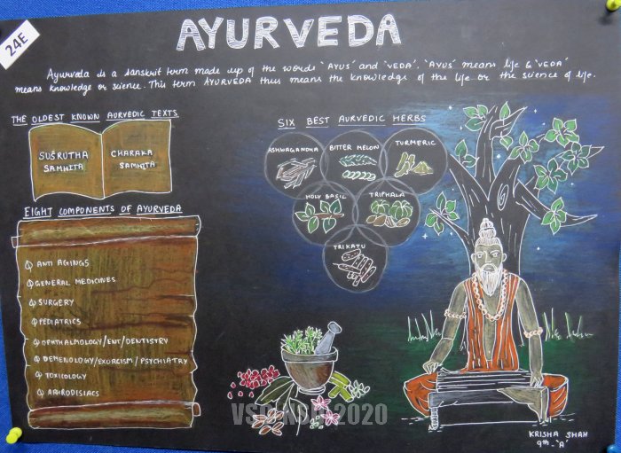 1st English Poster_24E_Krisha Shah_Maharaja Agrasen Vidyalaya_Ahmedabad